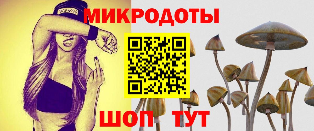 Галлюциногенные грибы Magic Shrooms  Вход с VPN  купить   Галлюциногенные грибы прущие грибы  Сухой Лог 